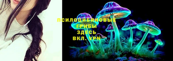 МДМА Болотное