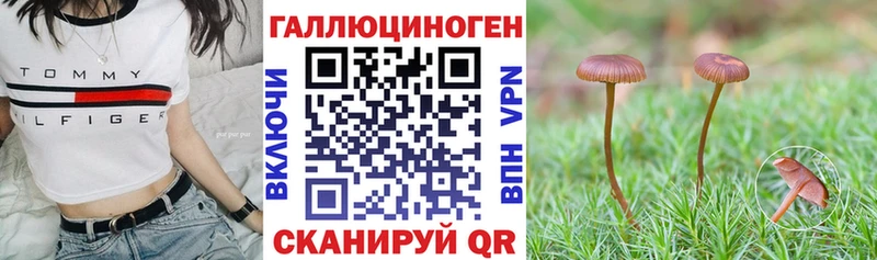 Псилоцибиновые грибы Cubensis  дарк нет наркотические препараты  Ужур  блэк спрут зеркало 